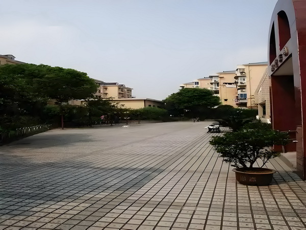 银针太子妃