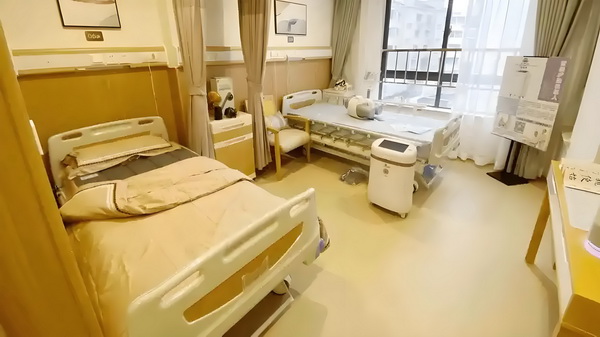重生之凤劫苍穹霸天下